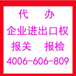 專業代理各類進出口業務，助力企業高效拓展國際市場