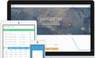 專業直銷軟件開發團隊 構建高效、可靠的直銷系統與平臺軟件